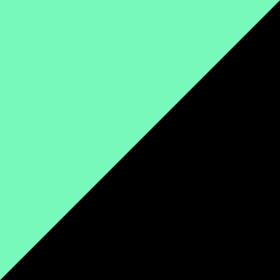 Black & Mint Green
